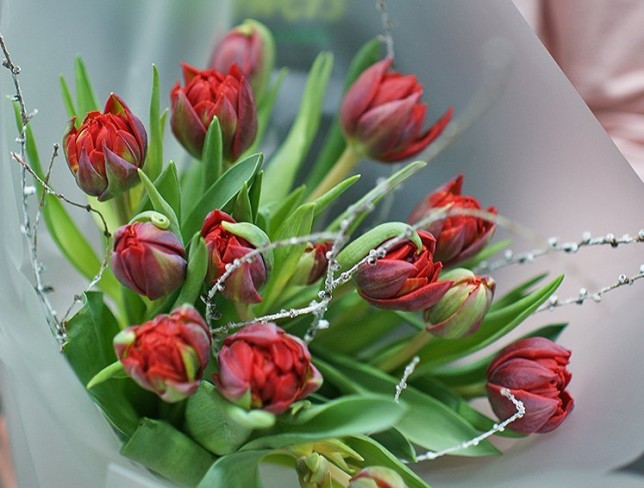 Bouquet of Dutch peony-style burgundy tulips photo